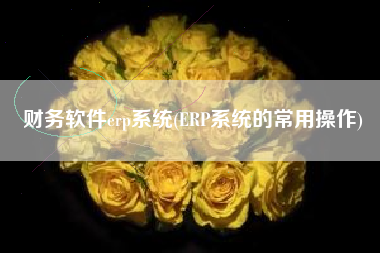 财务软件erp系统(ERP系统的常用操作)