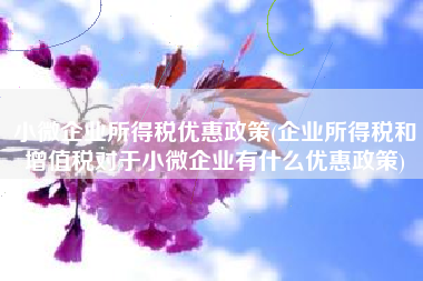 小微企业所得税优惠政策(企业所得税和增值税对于小微企业有什么优惠政策)