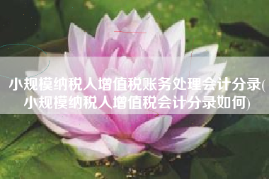 小规模纳税人增值税账务处理会计分录(小规模纳税人增值税会计分录如何)