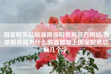 国家税务总局湖南省税务局官方网站(各地税务局为什么前面都加上国家税务总局几个字)