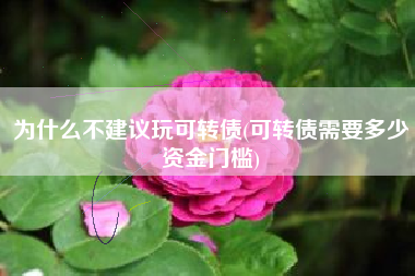 为什么不建议玩可转债(可转债需要多少资金门槛)