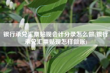 银行承兑汇票贴现会计分录怎么做(银行承兑汇票贴现怎样做账)