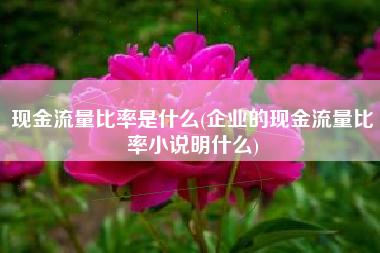 现金流量比率是什么(企业的现金流量比率小说明什么)