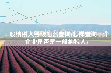 一般纳税人等级怎么查询(怎样查询一个企业是否是一般纳税人)