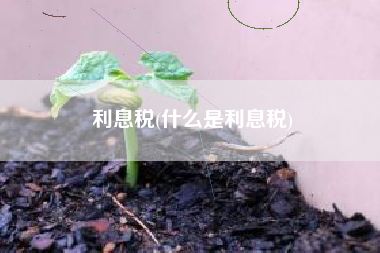 利息税(什么是利息税)