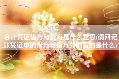 会计凭证借方和贷方是什么意思(请问记账凭证中的借方与贷方分别指的是什么)