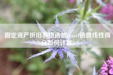 固定资产折旧表格函数(excel函数线性得分如何计算)