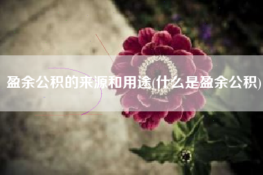 盈余公积的来源和用途(什么是盈余公积)