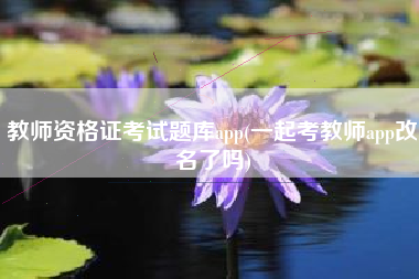 教师资格证考试题库app(一起考教师app改名了吗)