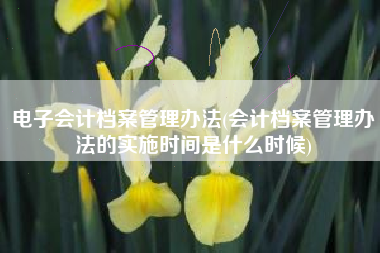 电子会计档案管理办法(会计档案管理办法的实施时间是什么时候)