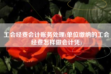 工会经费会计账务处理(单位缴纳的工会经费怎样做会计凭)