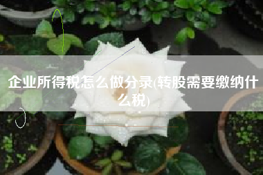 企业所得税怎么做分录(转股需要缴纳什么税)
