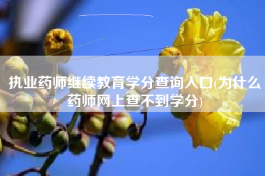执业药师继续教育学分查询入口(为什么药师网上查不到学分)
