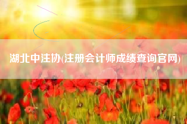 湖北中注协(注册会计师成绩查询官网)