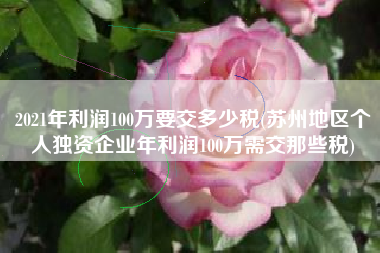2021年利润100万要交多少税(苏州地区个人独资企业年利润100万需交那些税)