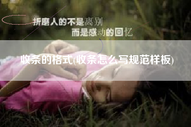 收条的格式(收条怎么写规范样板)