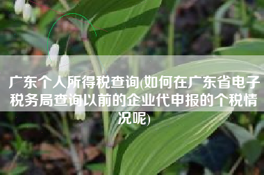 广东个人所得税查询(如何在广东省电子税务局查询以前的企业代申报的个税情况呢)
