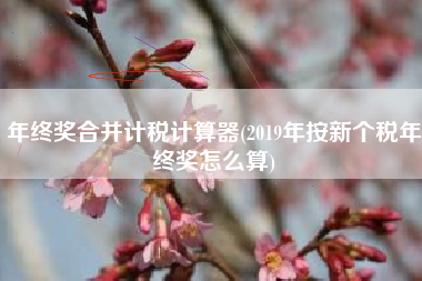 年终奖合并计税计算器(2019年按新个税年终奖怎么算)