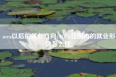 详细阅读:acca以后的就业方向(ACCA在国内的就业形势怎么样) acca以后的就业方向(ACCA在国内的就业形势怎么样)