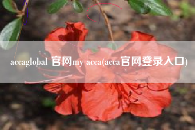 accaglobal 官网my acca(acca官网登录入口)