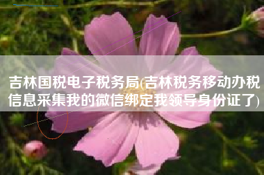 吉林国税电子税务局(吉林税务移动办税信息采集我的微信绑定我领导身份证了)