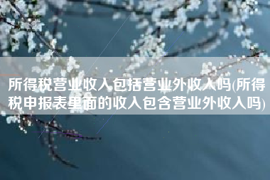 所得税营业收入包括营业外收入吗(所得税申报表里面的收入包含营业外收入吗)