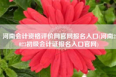 详细阅读:河南会计资格评价网官网报名入口(河南2023初级会计证报名入口官网) 河南会计资格评价网官网报名入口(河南2023初级会计证报名入口官网)