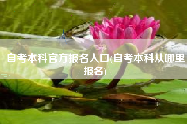 自考本科官方报名入口(自考本科从哪里报名)