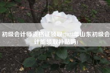 初级会计师资格证领取(2023年山东初级会计能领取补贴吗)