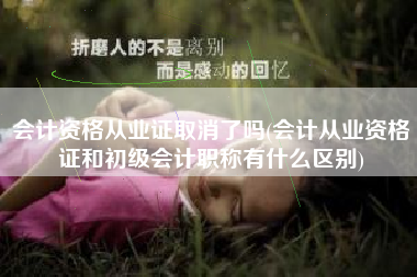 会计资格从业证取消了吗(会计从业资格证和初级会计职称有什么区别)