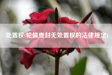 处置权(轮候查封无处置权的法律规定)