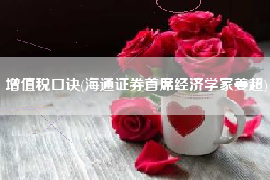 增值税口诀(海通证券首席经济学家姜超)