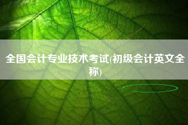 全国会计专业技术考试(初级会计英文全称)