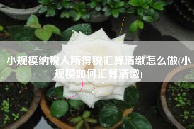 小规模纳税人所得税汇算清缴怎么做(小规模如何汇算清缴)