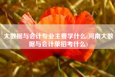 大数据与会计专业主要学什么(河南大数据与会计单招考什么)