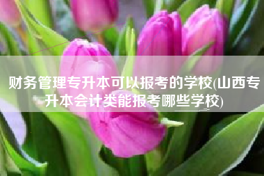 财务管理专升本可以报考的学校(山西专升本会计类能报考哪些学校)