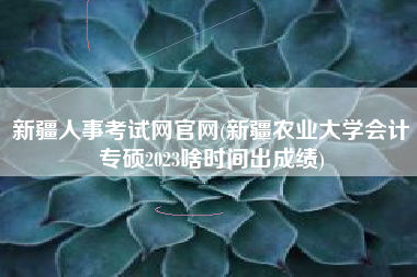 新疆人事考试网官网(新疆农业大学会计专硕2023啥时间出成绩)