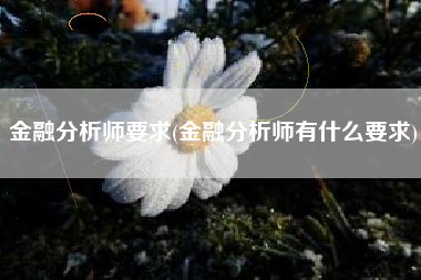 金融分析师要求(金融分析师有什么要求)