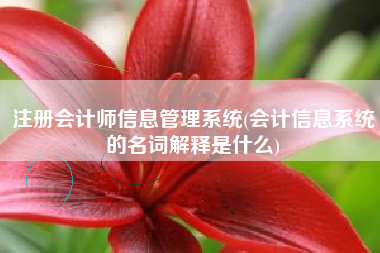 注册会计师信息管理系统(会计信息系统的名词解释是什么)