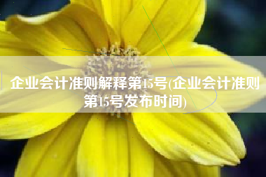 企业会计准则解释第15号(企业会计准则第15号发布时间)