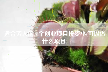 适合穷人的18个创业项目投资小(可以做什么项目)
