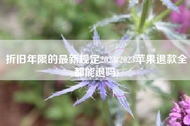 详细阅读:折旧年限的最新规定2023(2023苹果退款全都能退吗) 折旧年限的最新规定2023(2023苹果退款全都能退吗)