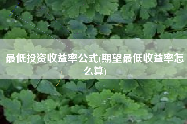 最低投资收益率公式(期望最低收益率怎么算)