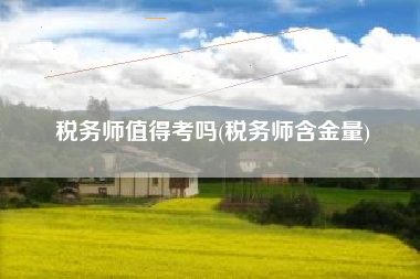 税务师值得考吗(税务师含金量)