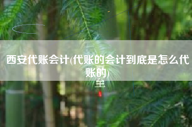 西安代账会计(代账的会计到底是怎么代账的)