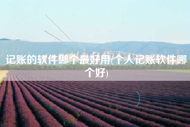 记账的软件哪个最好用(个人记账软件哪个好)