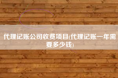 代理记账公司收费项目(代理记账一年需要多少钱)