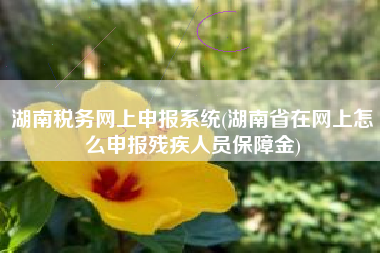 湖南税务网上申报系统(湖南省在网上怎么申报残疾人员保障金)