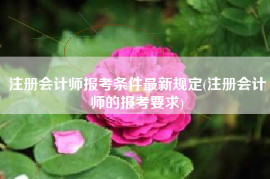 注册会计师报考条件最新规定(注册会计师的报考要求)