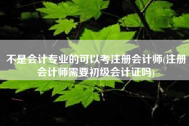 不是会计专业的可以考注册会计师(注册会计师需要初级会计证吗)